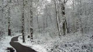 Watch Emiliana Torrini Snow video