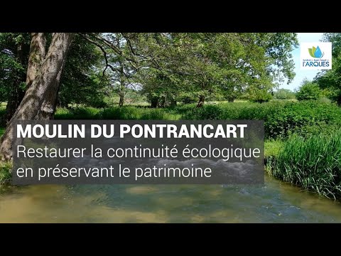 Moulin du Pontrancart : restaurer la continuité écologique en préservant le patrimoine (reportage)