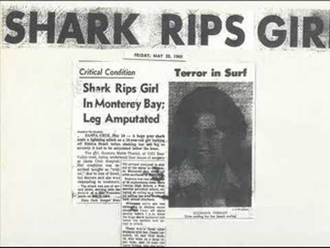 Shark Attack Headlines