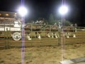 Castagnasso Clydesdales in 2012 Grass Valley Draft Horse Classic