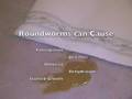 Roundworm Free Living Species | RM. Roundworm Free Living Species | RM.
