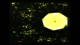 Watch Scanner Rmu video