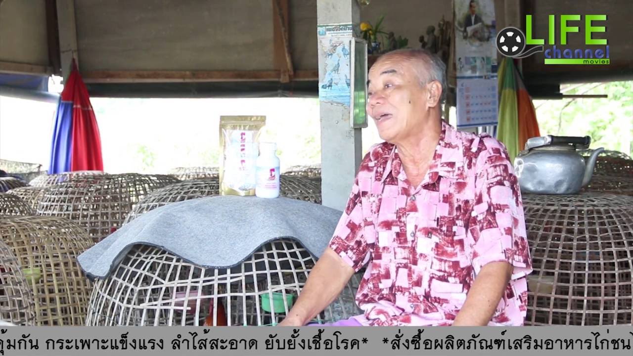 ย้อนหลัง รายการ ฅ.คนไก่ชน (เพชรวัดน้ำฟาร์ม จ.ชลบุรี ศูนย์รวมยอดฝีมือเมืองพนัส)|เดิมพันชนไก่เจ๋งทุกวัน ย้อนหลัง รายการ ฅ.คนไก่ชน (เพชรวัดน้ำฟาร์ม จ.ชลบุรี ศูนย์รวมยอดฝีมือเมืองพนัส)|เดิมพันชนไก่เจ๋งทุกวัน