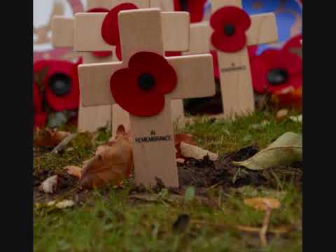 I read the Poem In Flanders Fields by John McCrae to mark Remembrance Day 