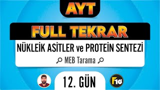 MEB Biyoloji Kitabı Genden Proteine Taraması F10  Tekrar Kampı