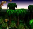 Donkey Kong Country