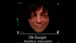 Ok Google, Amoleça Meu Pinto