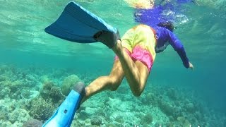 Maldives Snorkel With Garmin Virb