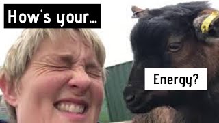 How’s Your Energy?