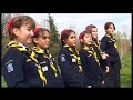 scout