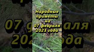 Народные Приметы На 7 Февраля 2023 Года