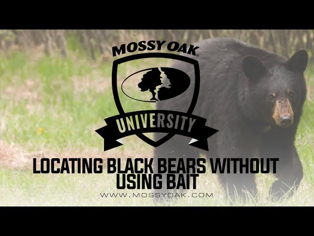 Watch Locating Black Bears Without Using Bait on YouTube.