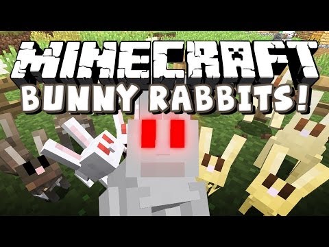 Minecraft Snapshot 14w27a - Bunny Rabbit Of Israphel?!