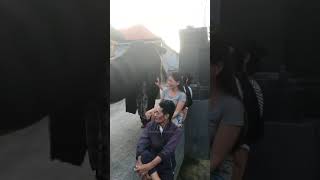Gadis Cantik Degdegan Digesek Gesek Barong Bangkung