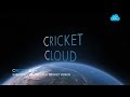SACHIN & SOURAV ON FIRE !! Best Mates - Best Opener !!