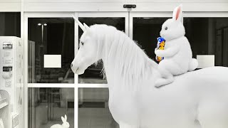 Cctv Camera Caught Unicorn & Animals Shopping In Store. P2