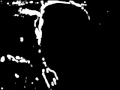 �osica i Z�oty Mach - Mrrau Grzegorz 4242