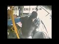 مقطع لحس مخي