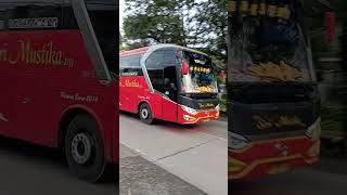 Sari Mustika Vip Cl Non Ekonomi - Bis Malam