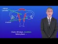 GCSE Science Biology (9-1 Triple) The Brain