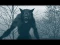 Werewolf Sightings Caught On Camera - Top 6 Werewolf Sightings