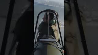 Iron Eagles Epic Wwii Dogfight Over D-Day