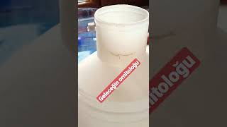 Aşısı