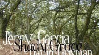 Watch Jerry Garcia Shady Grove video