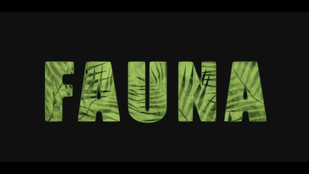 FAUNA