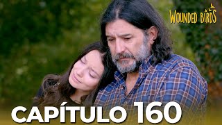 Omer Sueños Robados |  Capítulo 160