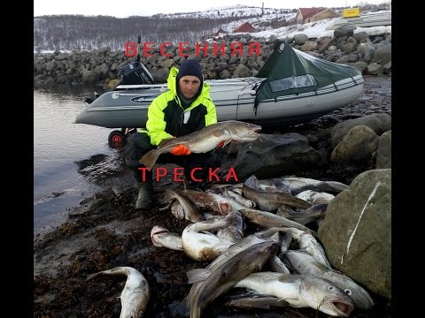 рыбалка в териберке в июне рыбалка в териберке в июне