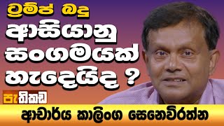 Pethikada 2025.08.18