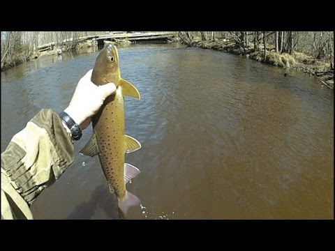 ловля ленка ютуб ловля ленка ютуб