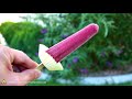 10 Apocalyptic Survival Hacks