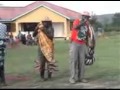 Rilandi,,, brought to you by Lawrence Kigo