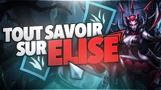 Guide Elise Jungle - Tout Savoir Sur Elise