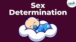 Genetics - Sex Determination - Lesson 19 | Don't Memorise