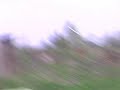 Ольги Юрьевны Селивёрстовой.<br />И остановка