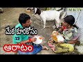 #మేక కూరకోసం ఆరాటం #MEKAKURAKOSAM ARATAM  || Village Comedy#VILLAGE MK TV  MKTV SKIT#1