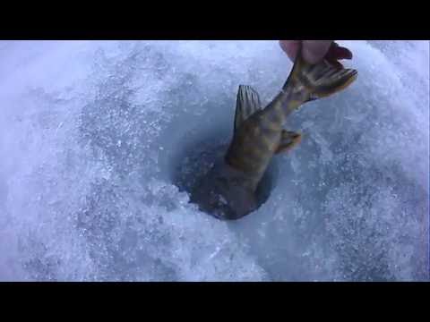 атака щуки под водой на блесну атака щуки под водой на блесну
