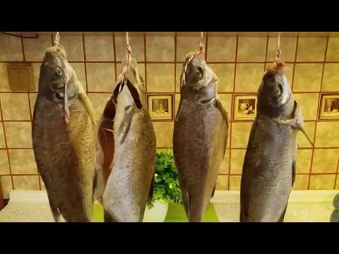 Модный дизайн Модный дизайн