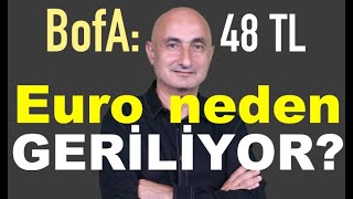 Euro Ve Gram Altın Neden Geriledi? Bank Of Americanın Dolar Tahmini