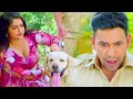 दिनेश लाल यादव और आम्रपाली दुबे का कॉमेडी वीडियो | Bhojpuri Movie Best Scene