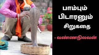 பாம்பும் பிடாரனும் | வண்ணநிலவன் | சிறுகதை | Vannanilavan | ஸ்டெல்லாஇசக்கிராஜ்