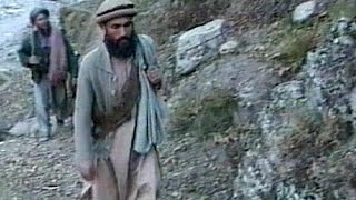Taliban Lideri Molla Ömer'den Barış Görüşmelerine Destek Mesajı