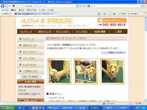 【収入を得られるホームページの作り方 講座】 第６回目