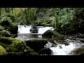 CLASSICAL MUSIC-música clásica-musique classique-música clássica-klassische Musik-klasik müzik