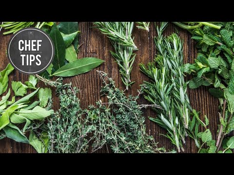 Herb Garden