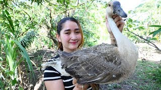 Yummy Goose Curry Recipe - Goose Cooking - Cooking With Sros