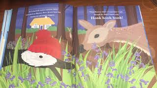 Storytime - Read By Orla, Barney Goose A Wild Atlantic Way Adventure By Carol Ann Treacy